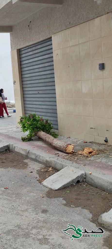 تطوان.. شخص يعبث بالبيئة في غياب تام للسلطات تطوان.. شخص يعبث بالبيئة في غياب تام للسلطات